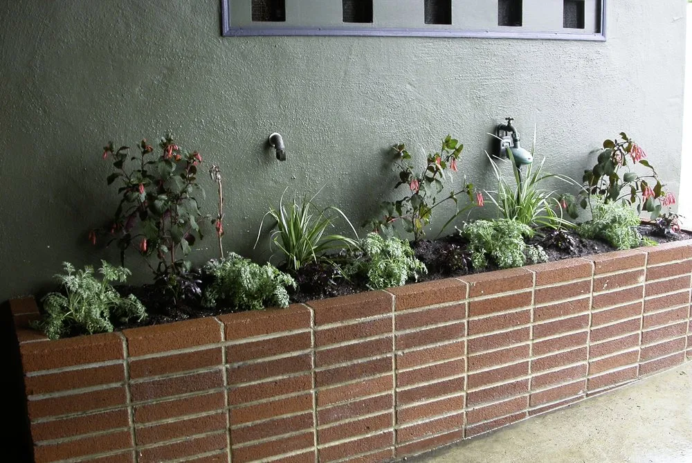 Affordable lawn mowing service in San Francisco, CA by Wild Natives