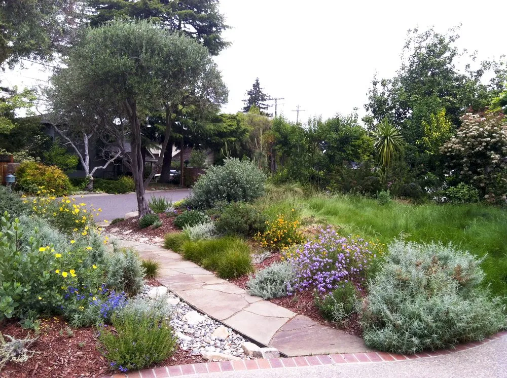 Professional outdoor landscaping for beautiful yards in San Francisco, CA by Wild Natives