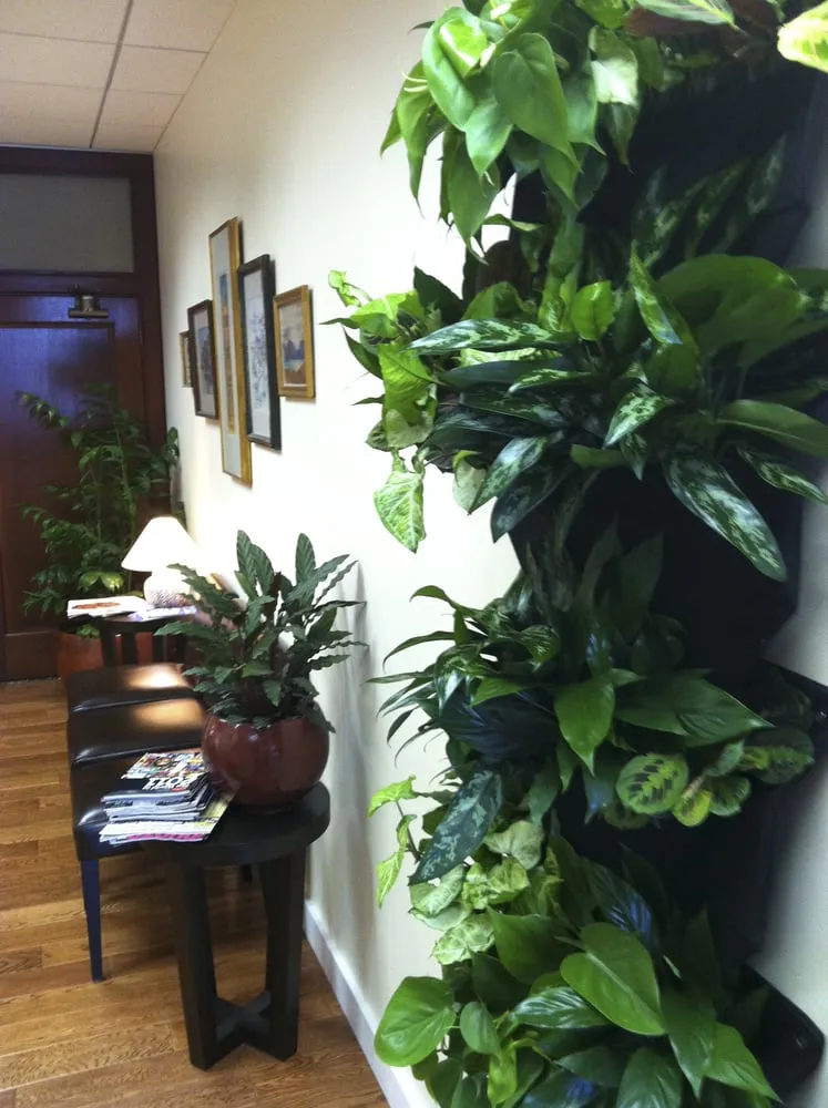 Affordable landscape installation for residential properties across San Francisco, CA - Wild Natives