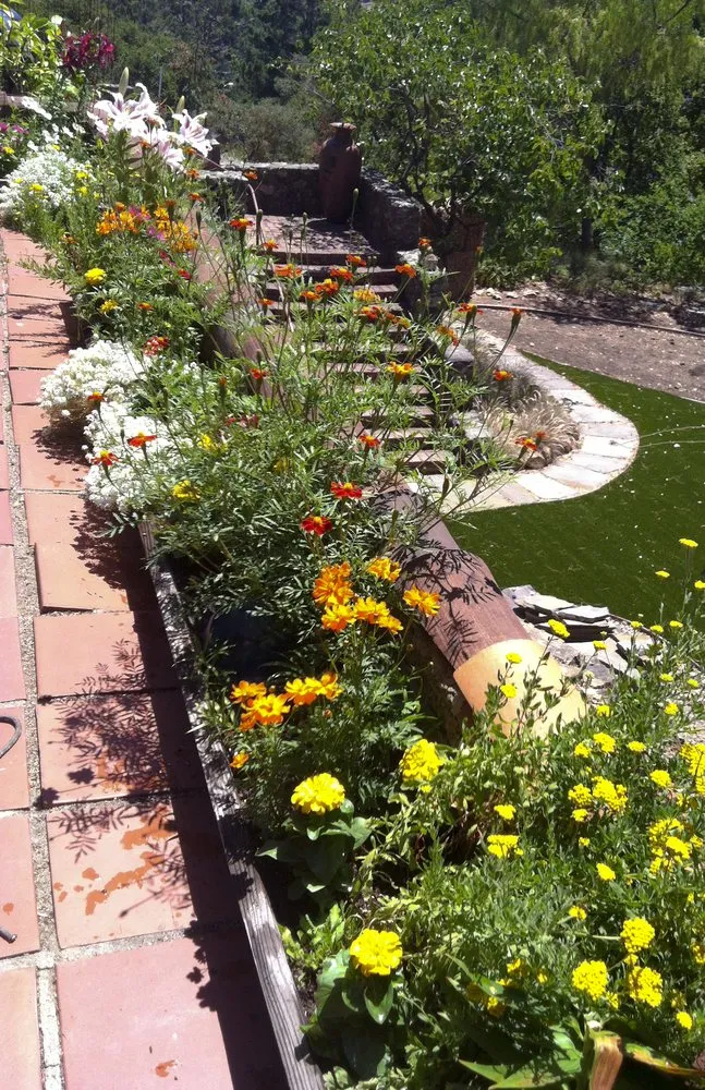 Trusted lawn care service experts serving San Francisco, CA - Wild Natives