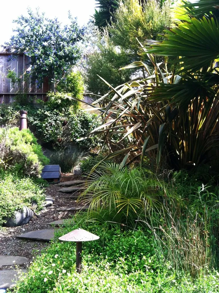 Custom outdoor landscaping in San Francisco, CA - Wild Natives