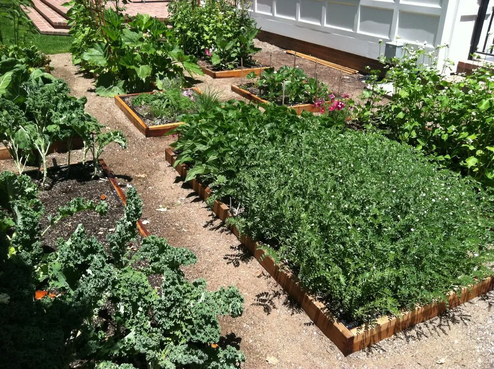 Top-rated garden landscaping experts serving San Francisco, CA - Wild Natives