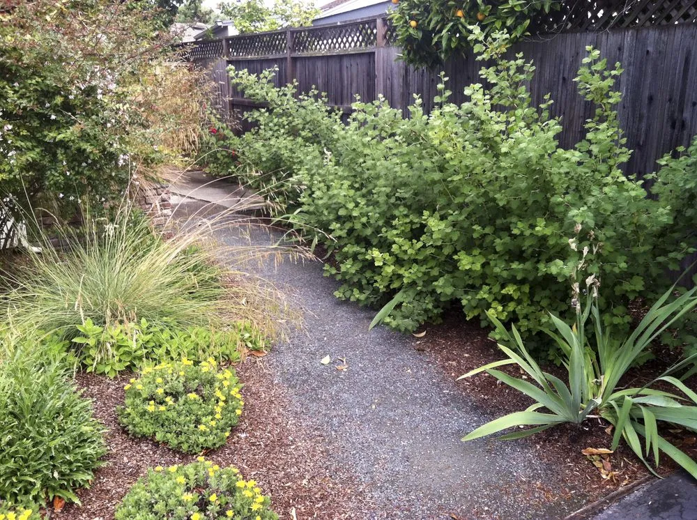 Expert lawn mowing service in San Francisco, CA - Wild Natives