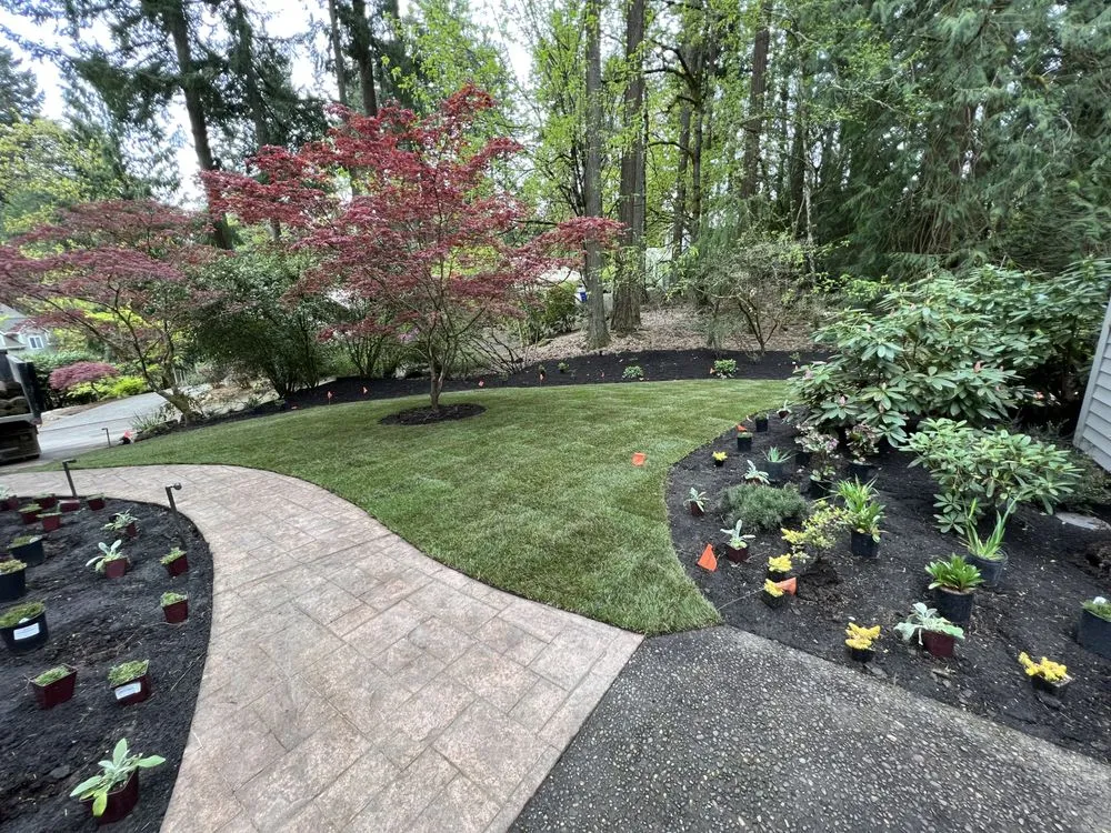 Local yard cleanup service experts serving Portland, OR - Wild Oasis Landscapes
