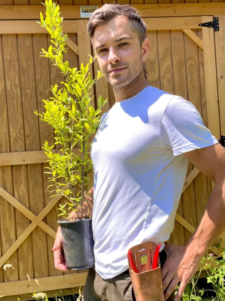 Affordable yard maintenance for beautiful yards in Portland, OR by Wild Oasis Landscapes