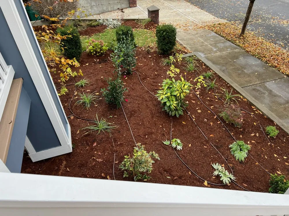 Custom yard maintenance in Portland, OR - Wild Oasis Landscapes