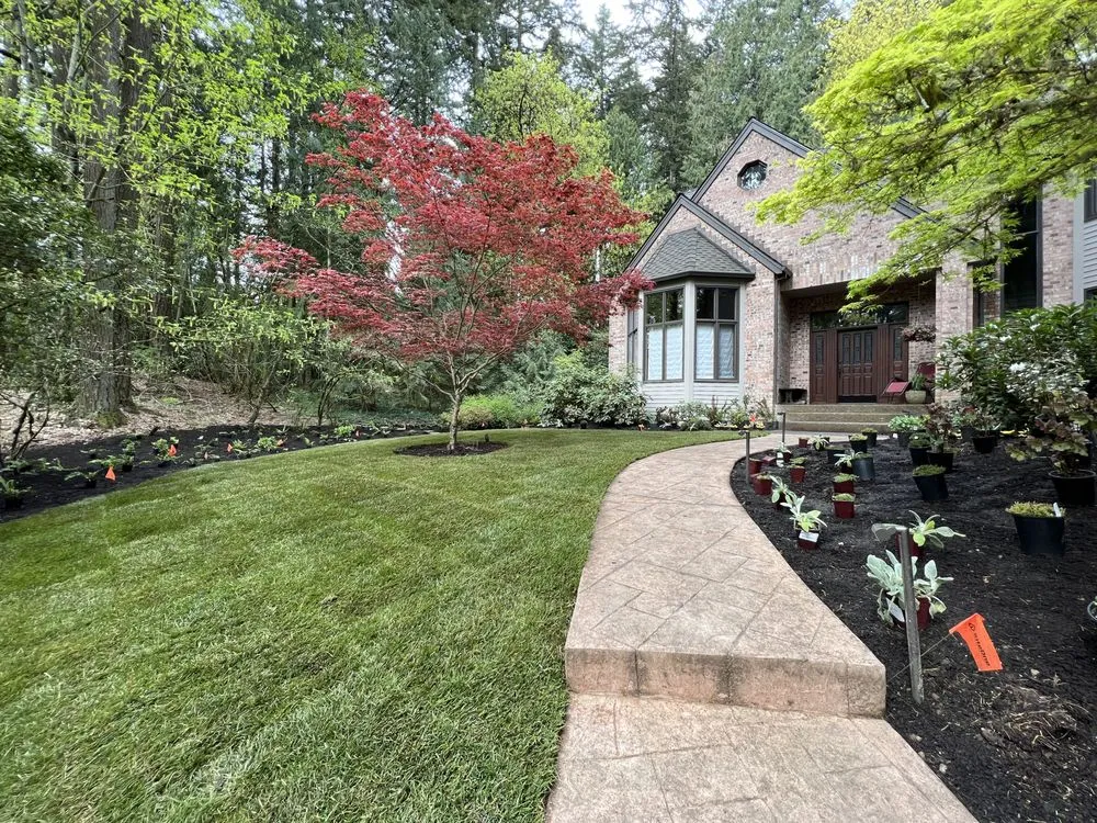 Professional yard cleanup service in Portland, OR - Wild Oasis Landscapes