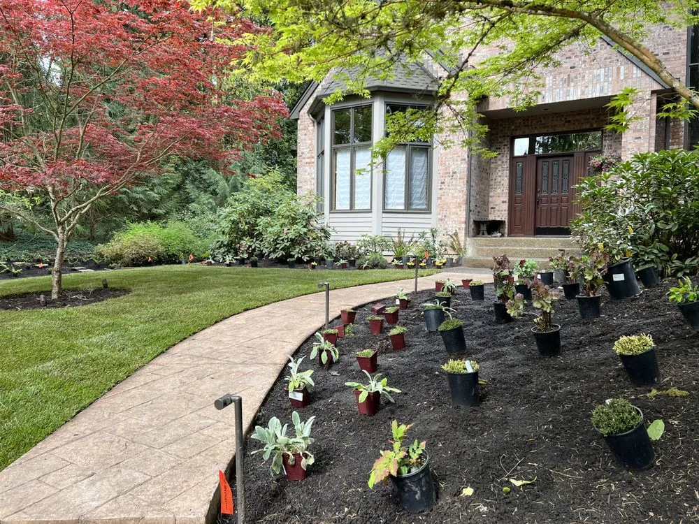 Local yard cleanup service in Portland, OR by Wild Oasis Landscapes