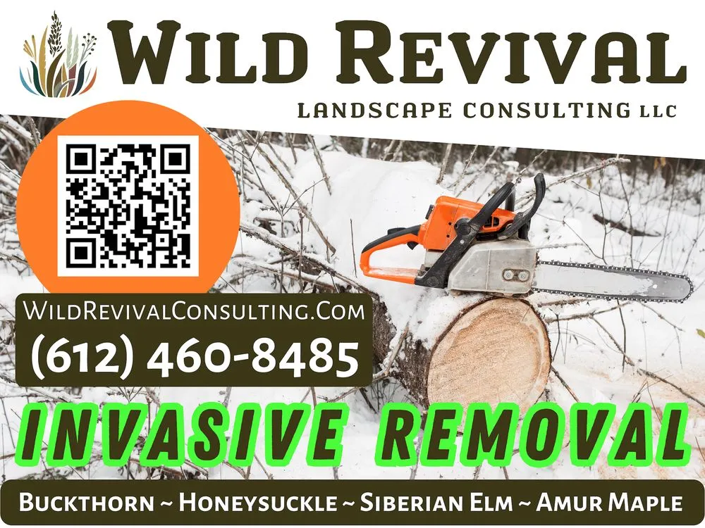 Local lawn care service experts serving St. Paul, MN - Wild Revival Landscape Consulting