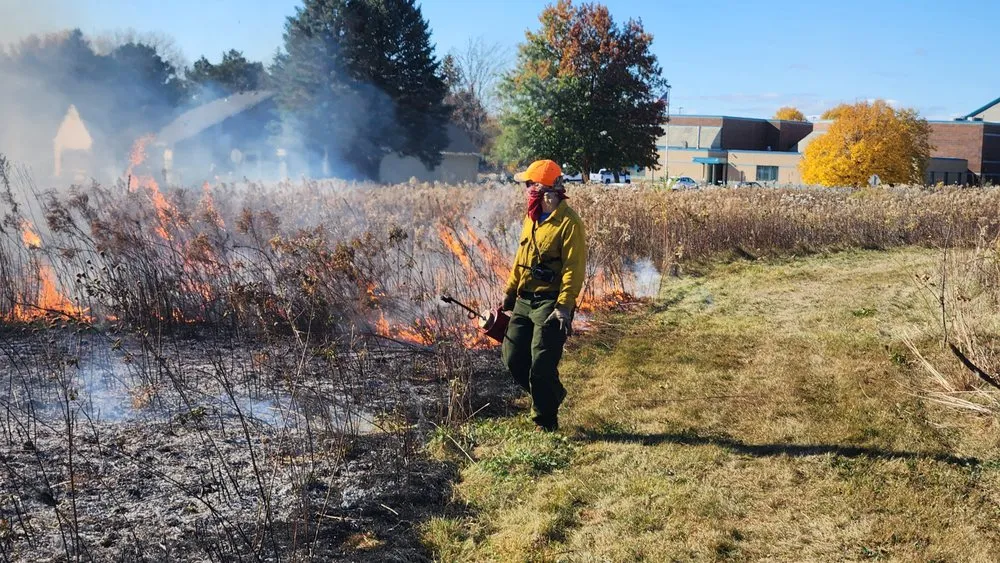 Reliable lawn care service for outdoor upgrades across St. Paul, MN - Wild Revival Landscape Consulting