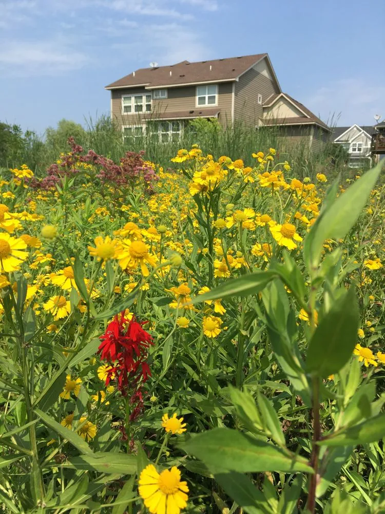 Expert yard cleanup service in St. Paul, MN by Wild Revival Landscape Consulting
