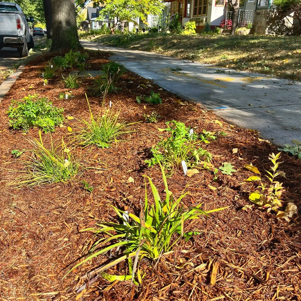 Expert garden landscaping in St. Paul, MN - Wild Revival Landscape Consulting