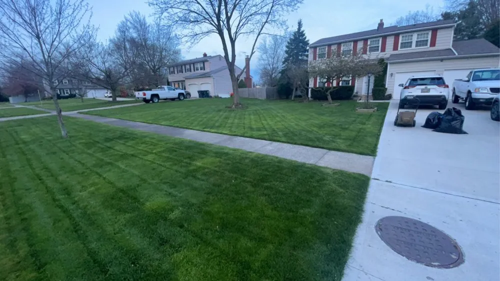 Reliable yard maintenance with custom design in Brunswick, OH by Wild Roots Landscaping