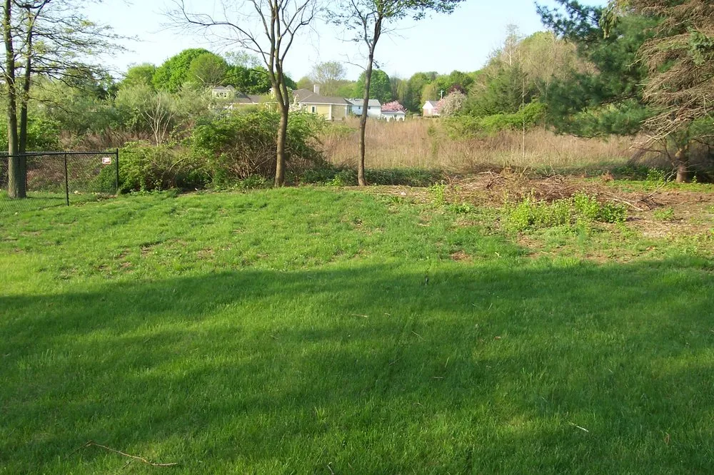 Local landscaping services in Hamlet, NC - Wild Roots Landscaping