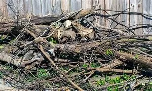 Custom lawn care service experts serving Hamlet, NC - Wild Roots Landscaping