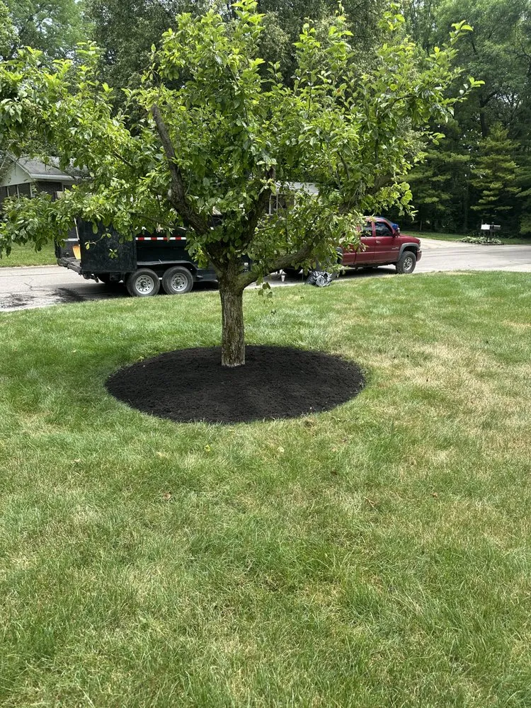 Top-rated lawn care service for outdoor upgrades across Yorktown, IN - Wild Roots Landscaping
