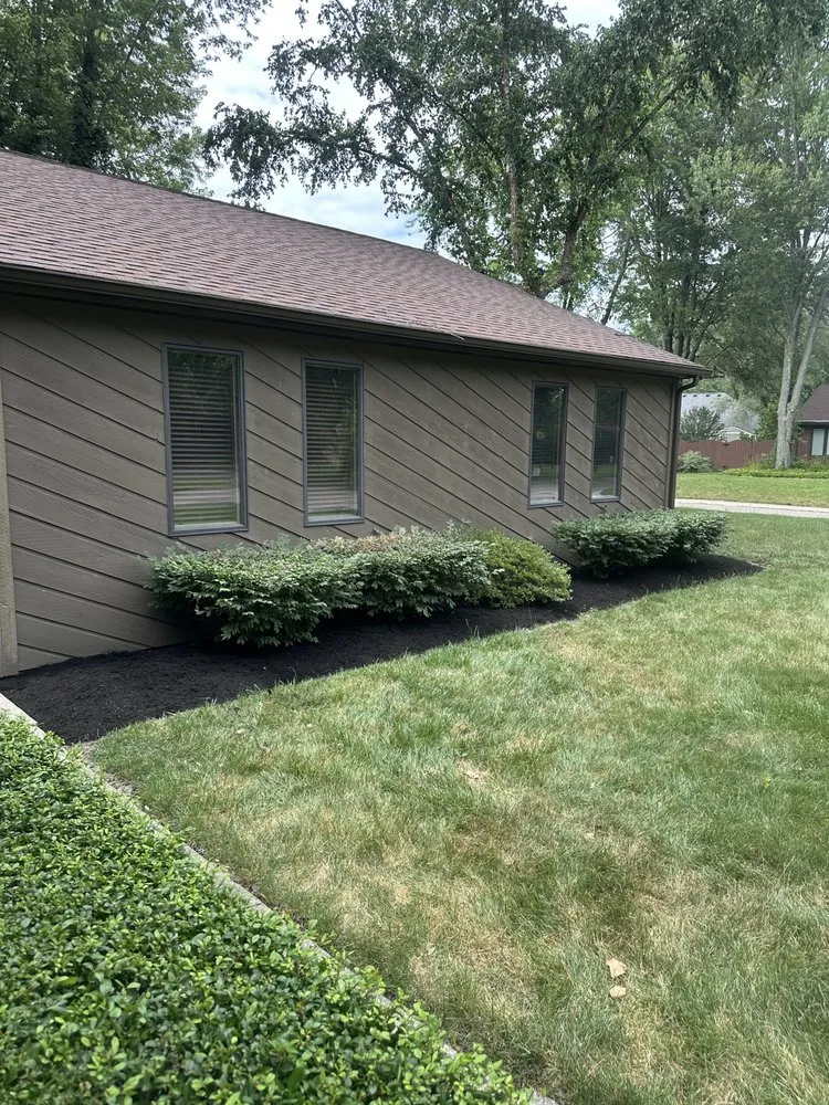 Professional yard cleanup service in Yorktown, IN - Wild Roots Landscaping