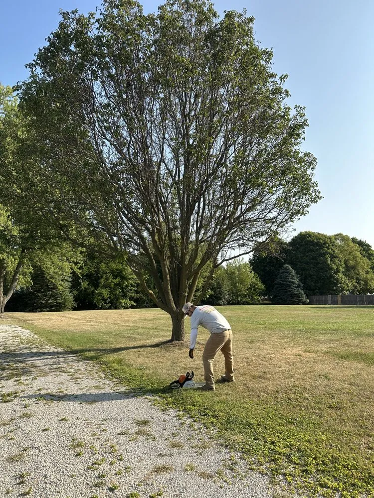 Trusted yard maintenance for homes in Yorktown, IN by Wild Roots Landscaping