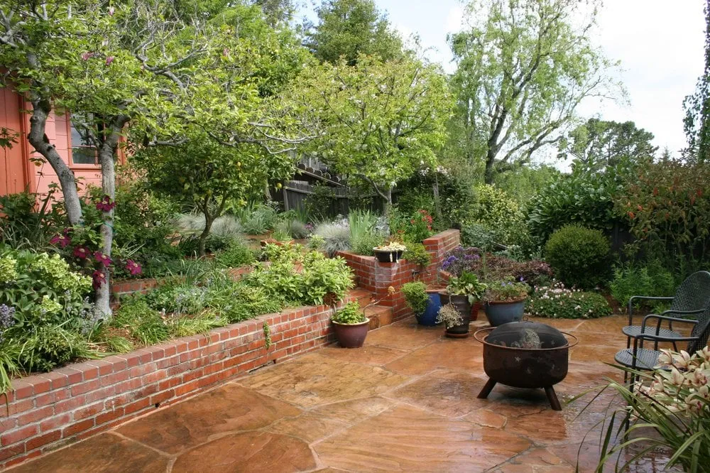 Trusted lawn care service in El Cerrito, CA - Wild Rose Gardens