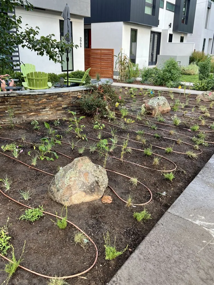 Local yard cleanup service experts serving Denver, CO - Wild Rose Landscaping