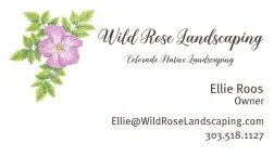 Local landscaping services for outdoor upgrades across Denver, CO - Wild Rose Landscaping