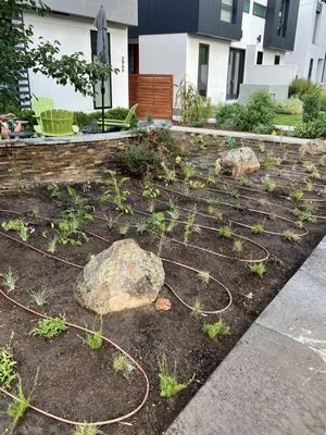 Wild Rose Landscaping Logo