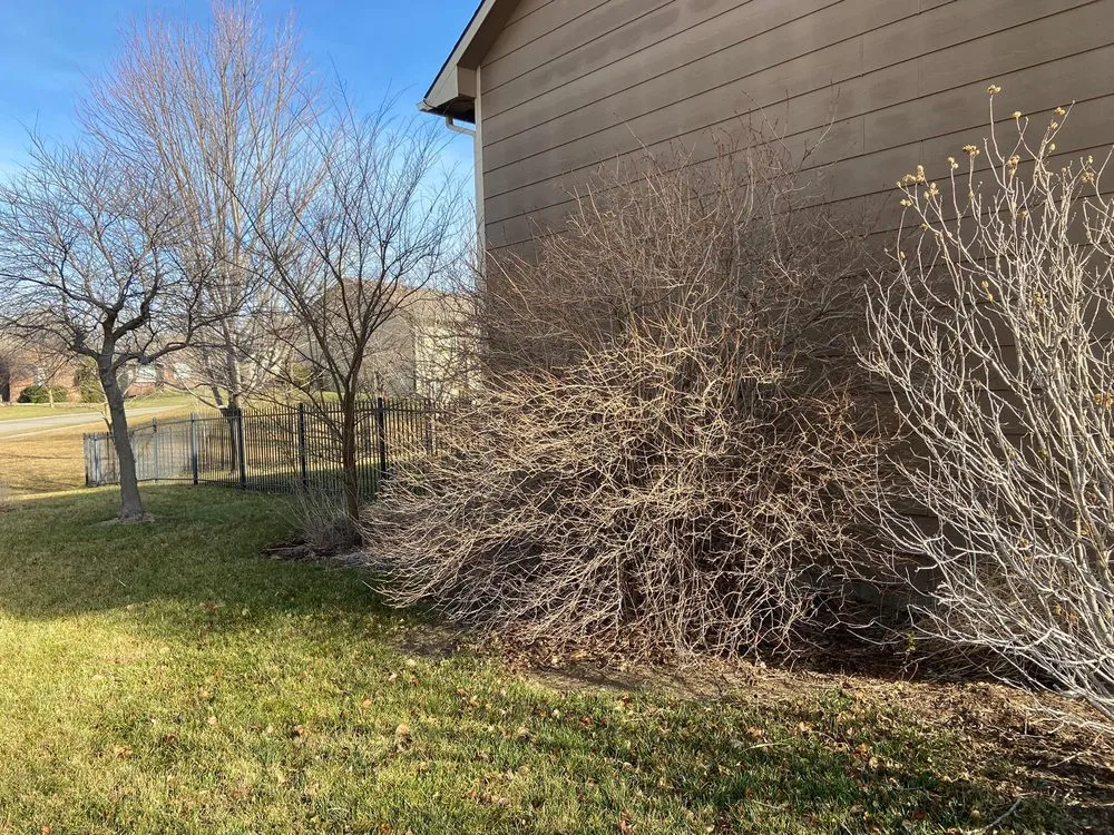 Professional lawn care service for homes in Wichita, KS by Wild Rose Lawn Services