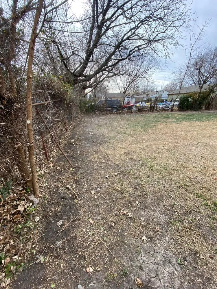 Affordable yard maintenance in Wichita, KS by Wild Rose Lawn Services