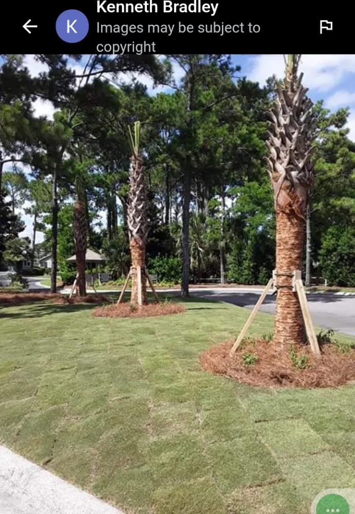 Professional landscape installation in Elloree, SC by wild side Hardscape & Landscaping