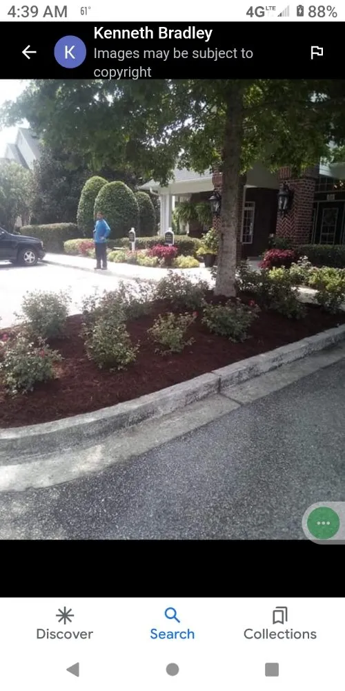 Expert landscape design experts serving Elloree, SC - wild side Hardscape & Landscaping