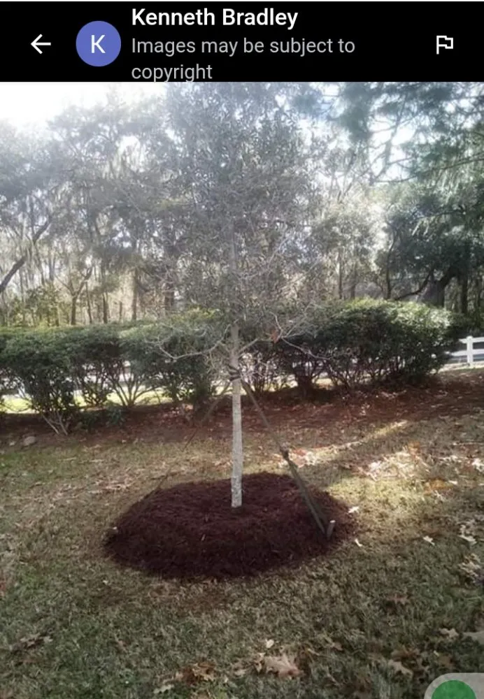 Top-rated garden landscaping in Elloree, SC by wild side Hardscape & Landscaping