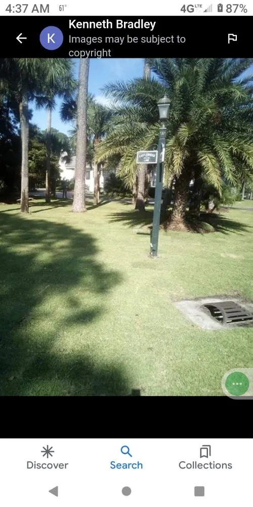 Local yard cleanup service for beautiful yards in Elloree, SC by wild side Hardscape & Landscaping