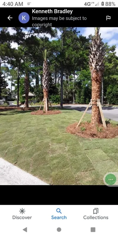 Reliable residential landscaping in Elloree, SC by wild side Hardscape & Landscaping