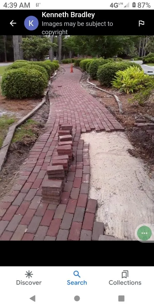Top-rated yard cleanup service for year-round maintenance in Elloree, SC by wild side Hardscape & Landscaping