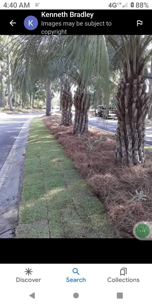 Custom residential landscaping in Elloree, SC by wild side Hardscape & Landscaping