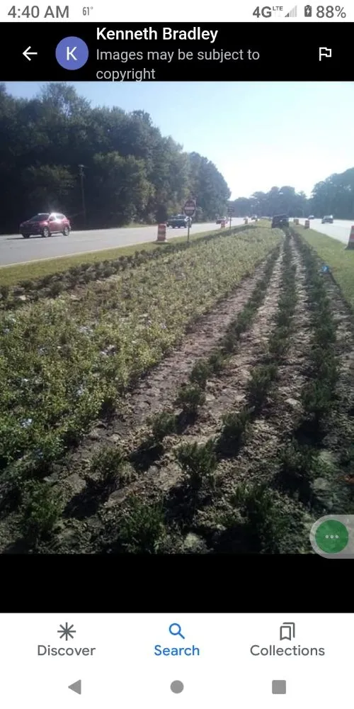 Top-rated landscape installation in Elloree, SC - wild side Hardscape & Landscaping