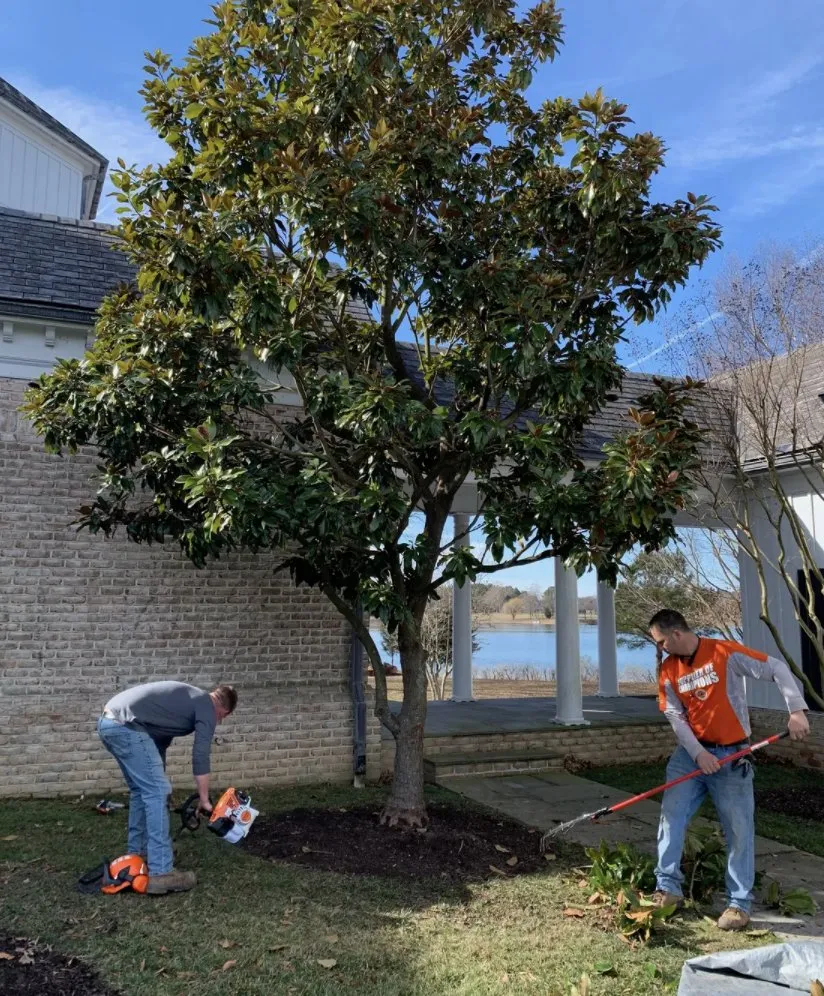 Affordable landscape installation experts serving Landenberg, PA - Wild Things Plant Health Care Landscape & Tree Experts