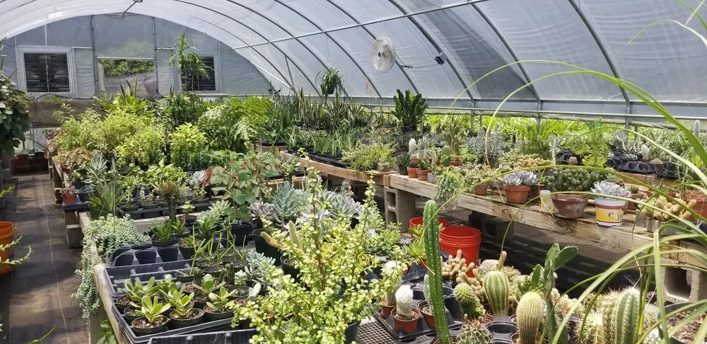 Trusted landscaping services experts serving Folsom, LA - Wild Thyme Farms & Nursery