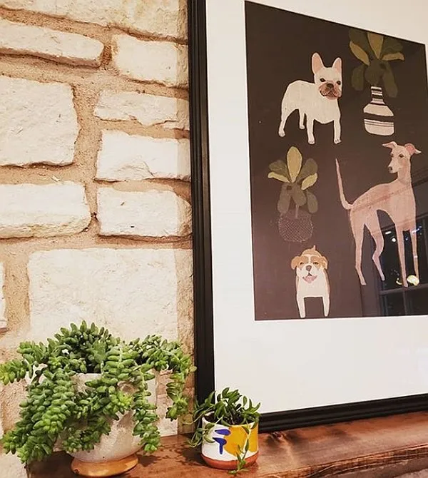 Trusted lawn care service near you across Austin, TX - Wild Violet Planting Design