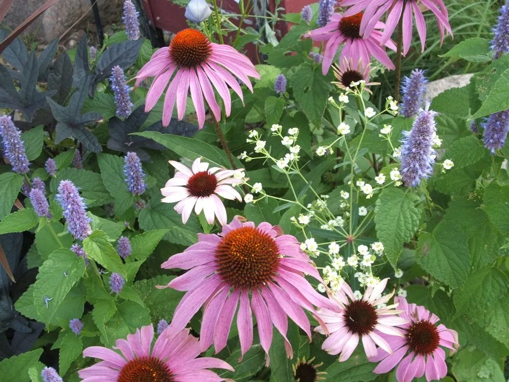 Reliable landscape installation experts serving Annandale, MN - Wild Ways To Garden