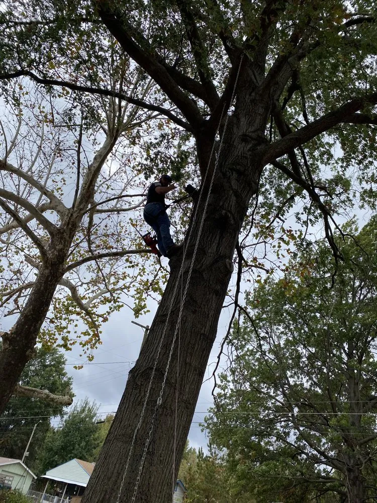 Affordable yard cleanup service for outdoor upgrades across Muskogee, OK - Wild West Junk Removal and Lawncare