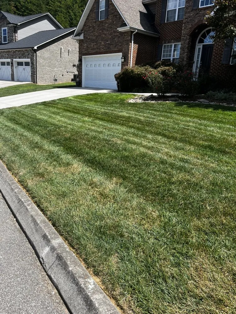 Reliable lawn mowing service experts serving Knoxville, TN - Wild West Landscape Designs