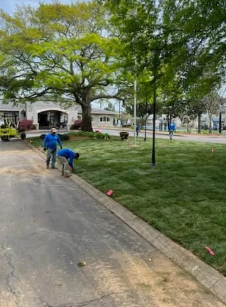 Local lawn mowing service for year-round maintenance across Knoxville, TN - Wild West Landscape Designs