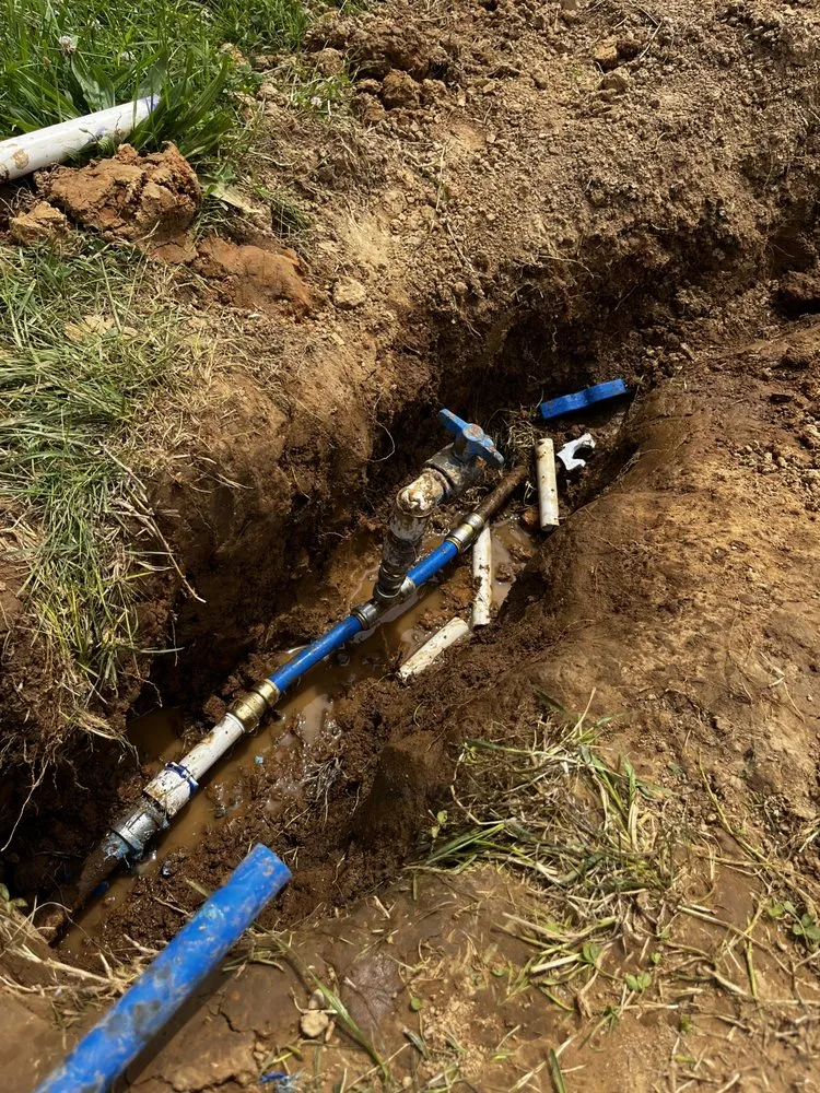 Professional yard cleanup service in Knoxville, TN - Wild West Landscape Designs