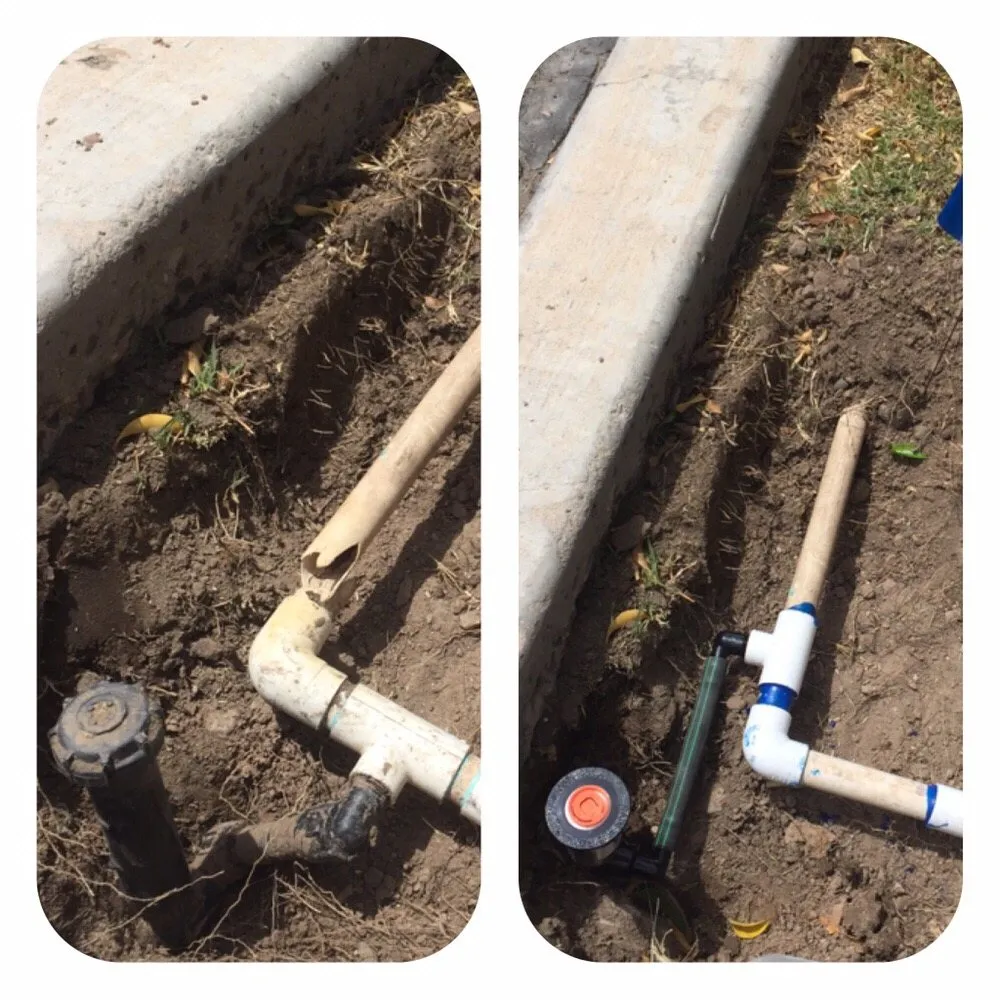 Top-rated lawn mowing service for year-round maintenance in Imperial, CA by Wild West Landscaping