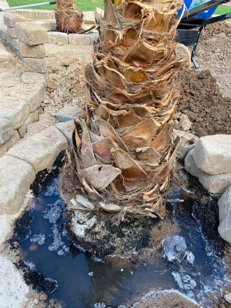 Expert residential landscaping near you in Imperial, CA by Wild West Landscaping