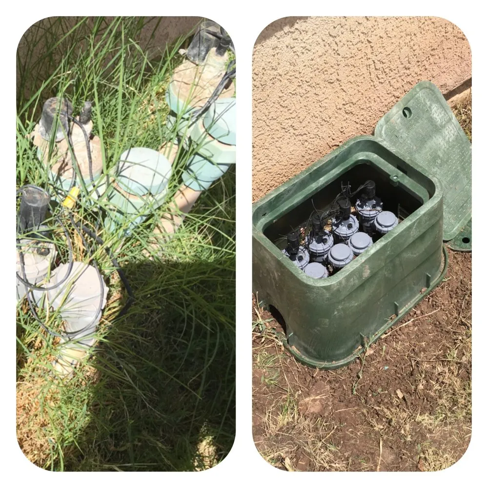 Affordable lawn mowing service in Imperial, CA by Wild West Landscaping