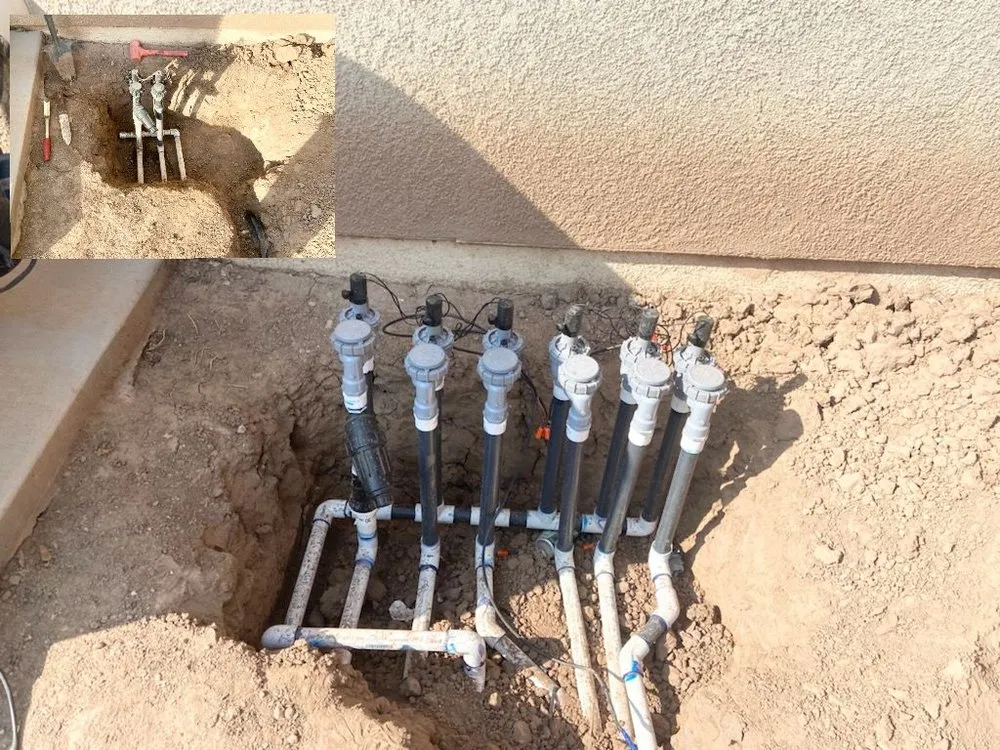 Reliable yard cleanup service in Imperial, CA by Wild West Landscaping