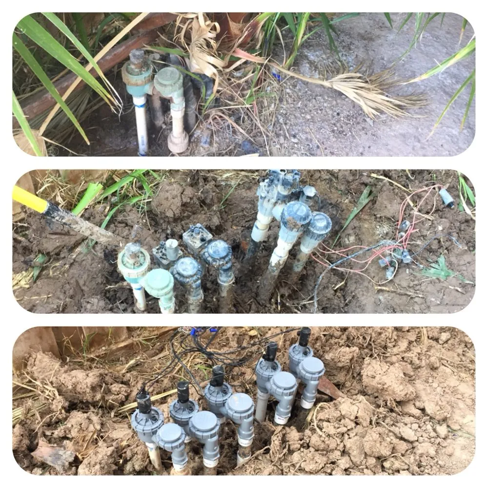 Top-rated lawn care service in Imperial, CA by Wild West Landscaping