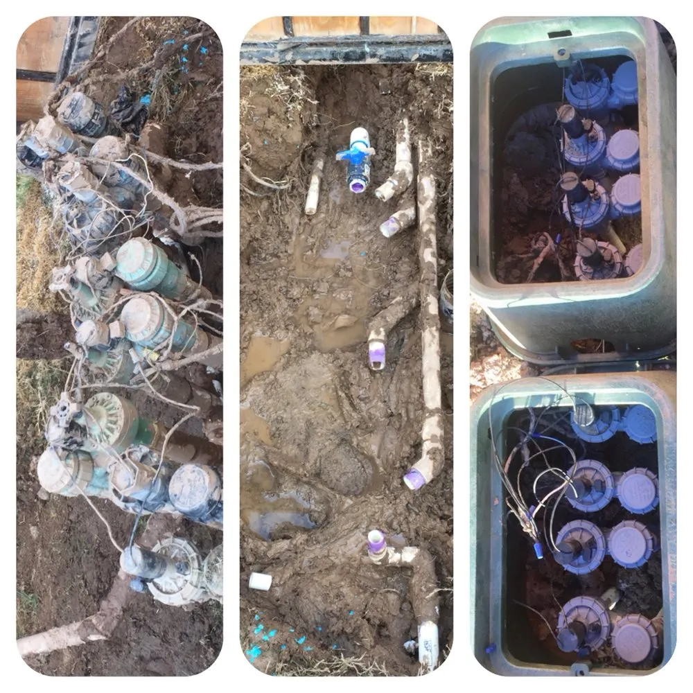 Custom lawn care service for homes across Imperial, CA - Wild West Landscaping